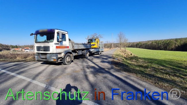 © Artenschutz in Franken® Bild zum Eintrag (1064656-160)