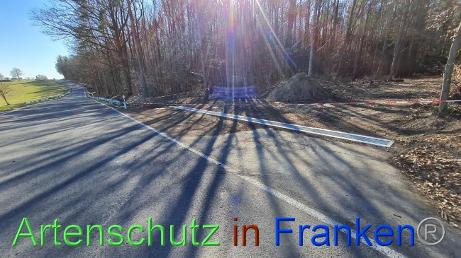 © Artenschutz in Franken® Bild zum Eintrag (1064657-160)