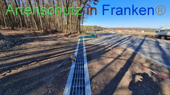 © Artenschutz in Franken® Bild zum Eintrag (1064658-160)