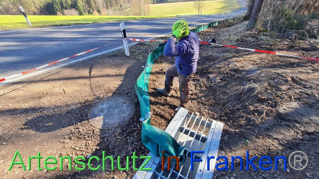 © Artenschutz in Franken® Bild zum Eintrag (1064660-160)