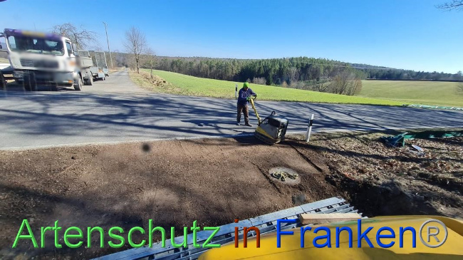 © Artenschutz in Franken® Bild zum Eintrag (1064663-160)