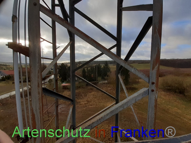 © Artenschutz in Franken® Bild zum Eintrag (1064744-160)
