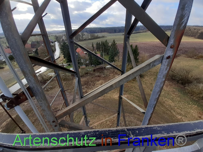 © Artenschutz in Franken® Bild zum Eintrag (1064745-160)