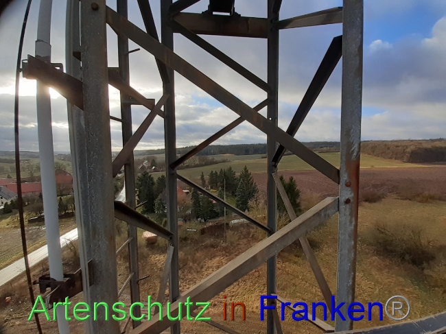 © Artenschutz in Franken® Bild zum Eintrag (1064746-160)