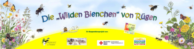 © Artenschutz in Franken® Bild zum Eintrag (1064877-160)