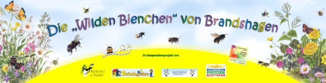 © Artenschutz in Franken® Bild zum Eintrag (1064894-160)