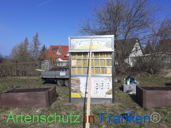 © Artenschutz in Franken® Bild zum Eintrag (1064899-160)