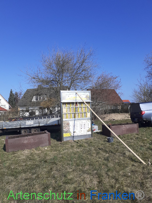 © Artenschutz in Franken® Bild zum Eintrag (1064900-160)
