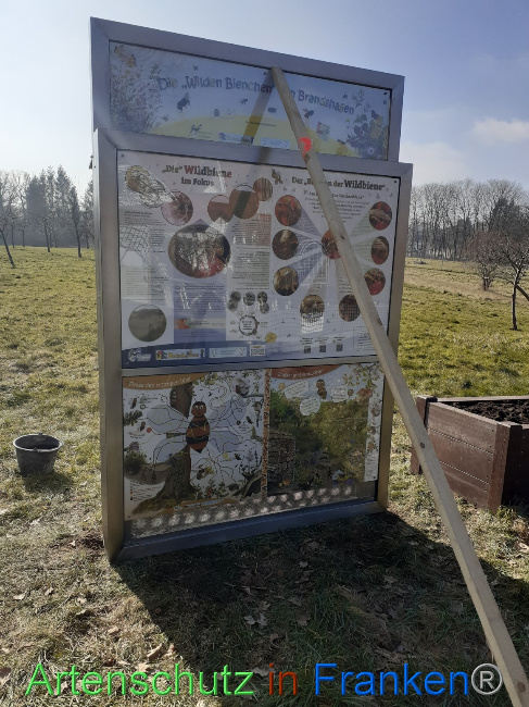 © Artenschutz in Franken® Bild zum Eintrag (1064901-160)