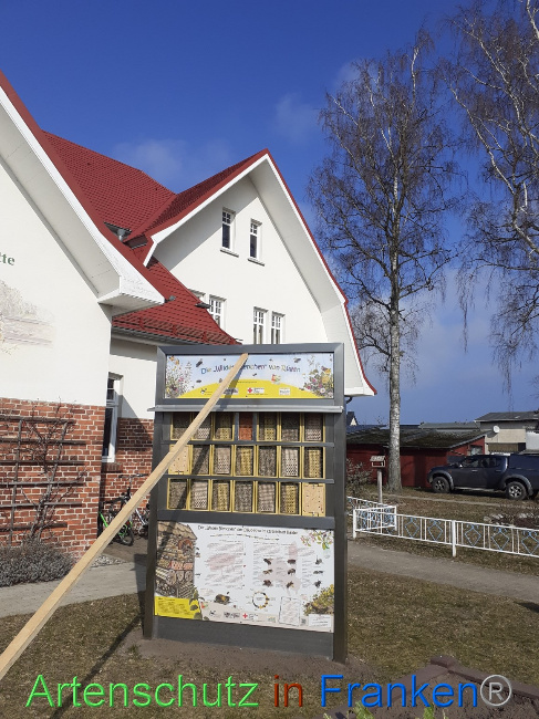 © Artenschutz in Franken® Bild zum Eintrag (1064906-160)