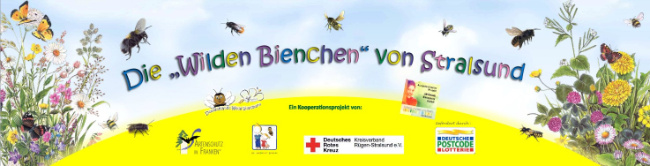 © Artenschutz in Franken® Bild zum Eintrag (1064912-160)
