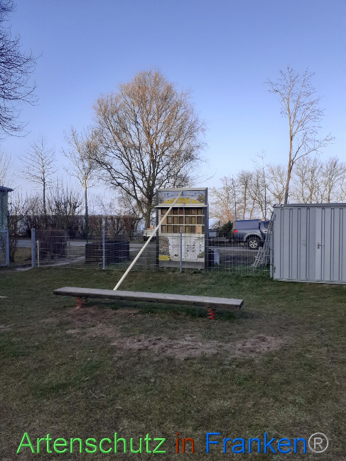 © Artenschutz in Franken® Bild zum Eintrag (1064914-160)