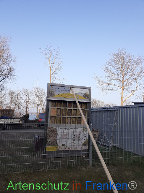 © Artenschutz in Franken® Bild zum Eintrag (1064915-160)