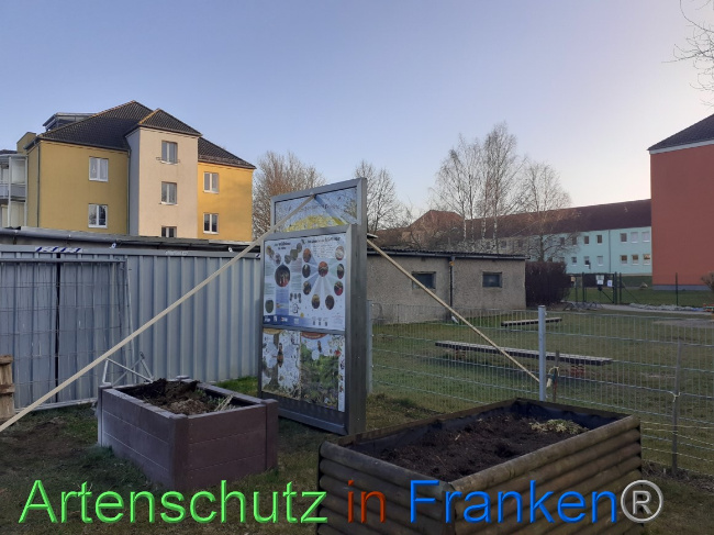 © Artenschutz in Franken® Bild zum Eintrag (1064917-160)