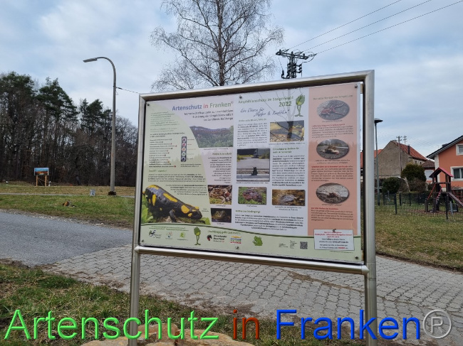 © Artenschutz in Franken® Bild zum Eintrag (1065068-160)