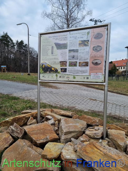 © Artenschutz in Franken® Bild zum Eintrag (1065069-160)