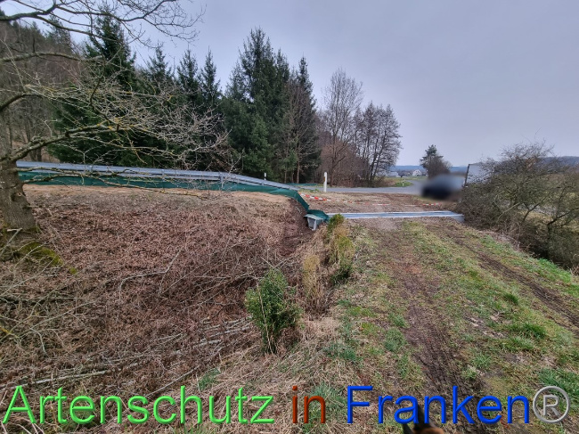 © Artenschutz in Franken® Bild zum Eintrag (1065082-160)