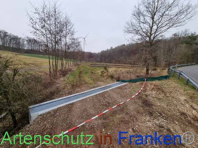 © Artenschutz in Franken® Bild zum Eintrag (1065083-160)