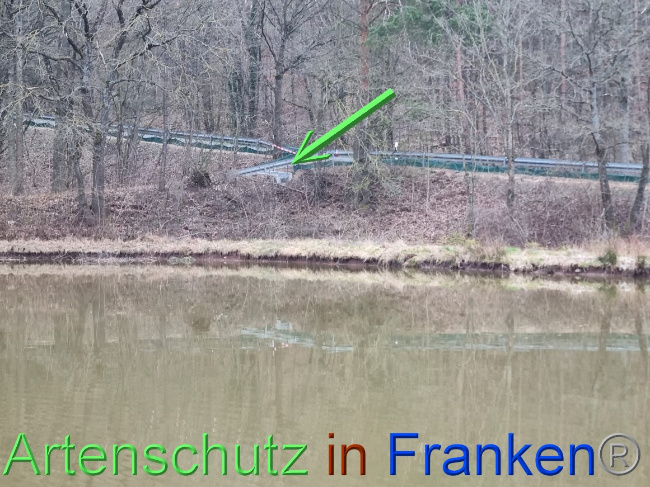 © Artenschutz in Franken® Bild zum Eintrag (1065090-160)