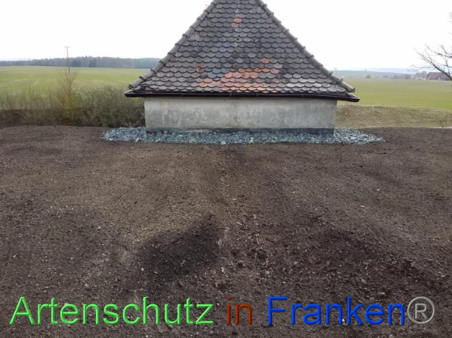 © Artenschutz in Franken® Bild zum Eintrag (1065274-160)