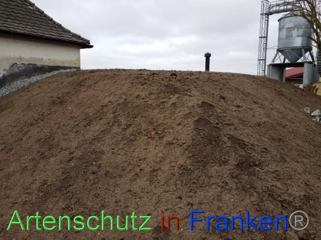 © Artenschutz in Franken® Bild zum Eintrag (1065275-160)