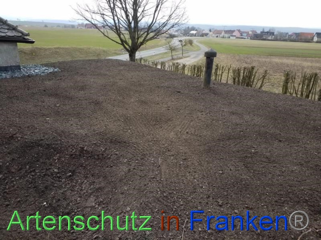 © Artenschutz in Franken® Bild zum Eintrag (1065276-160)