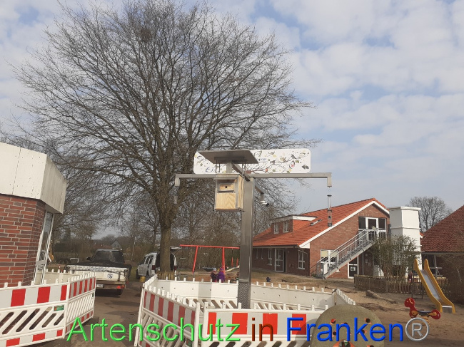 © Artenschutz in Franken® Bild zum Eintrag (1065319-160)