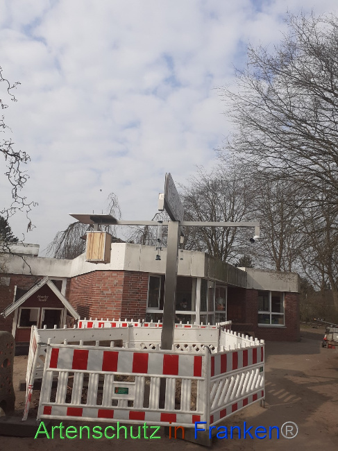 © Artenschutz in Franken® Bild zum Eintrag (1065320-160)