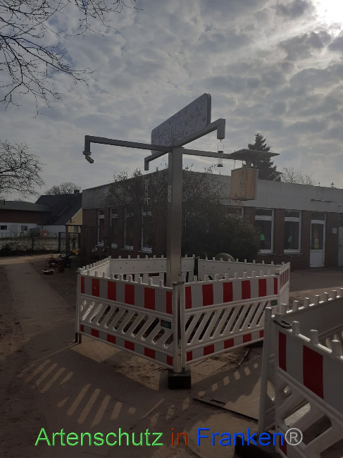 © Artenschutz in Franken® Bild zum Eintrag (1065323-160)