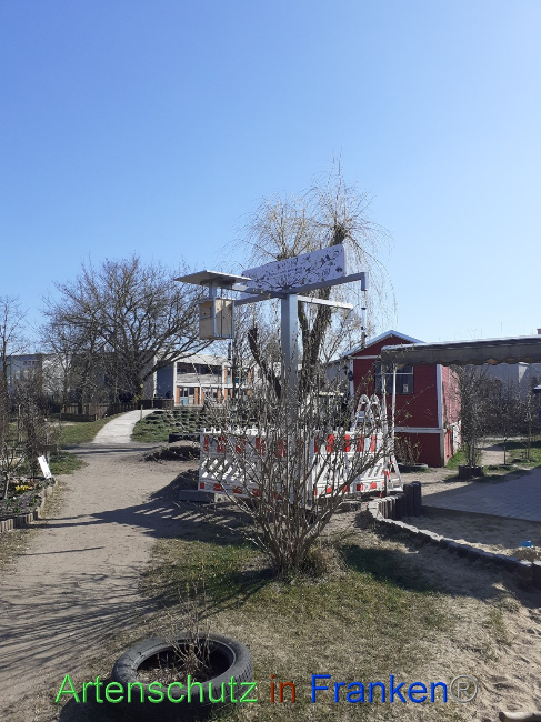 © Artenschutz in Franken® Bild zum Eintrag (1065332-160)