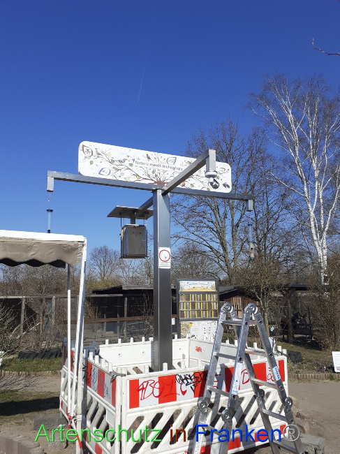 © Artenschutz in Franken® Bild zum Eintrag (1065333-160)