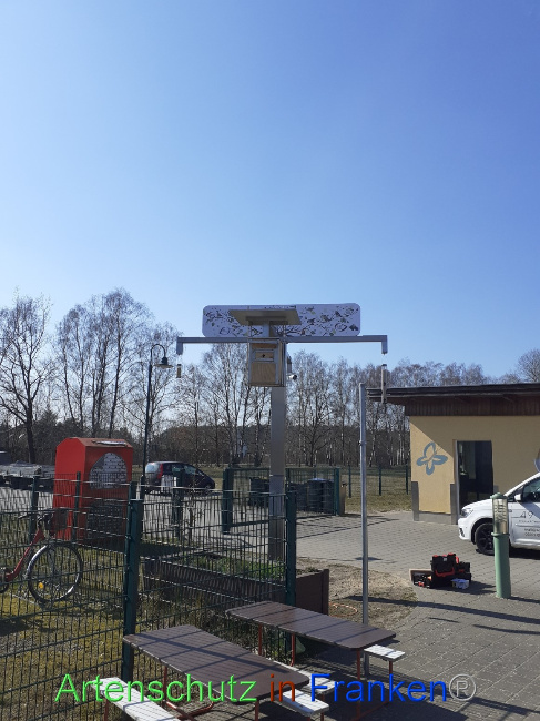 © Artenschutz in Franken® Bild zum Eintrag (1065343-160)