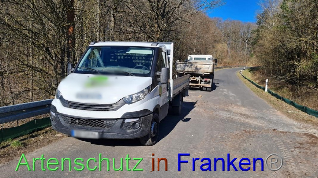 © Artenschutz in Franken® Bild zum Eintrag (1065406-160)