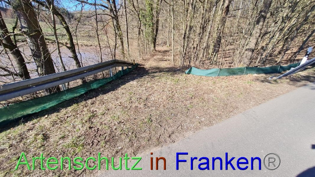 © Artenschutz in Franken® Bild zum Eintrag (1065407-160)