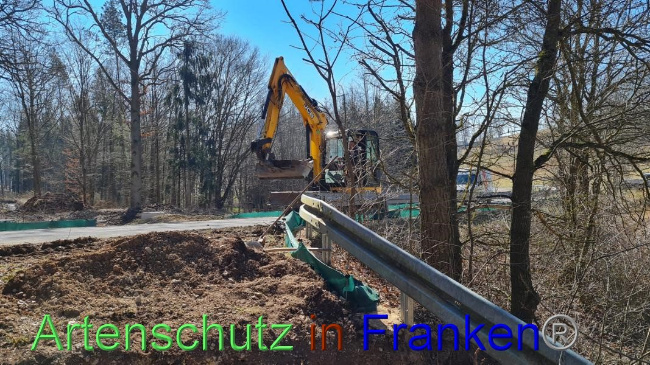 © Artenschutz in Franken® Bild zum Eintrag (1065408-160)