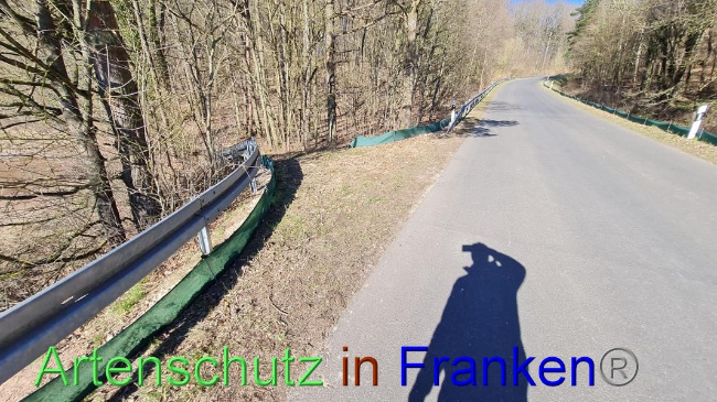 © Artenschutz in Franken® Bild zum Eintrag (1065410-160)