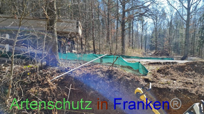 © Artenschutz in Franken® Bild zum Eintrag (1065411-160)