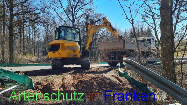 © Artenschutz in Franken® Bild zum Eintrag (1065412-160)