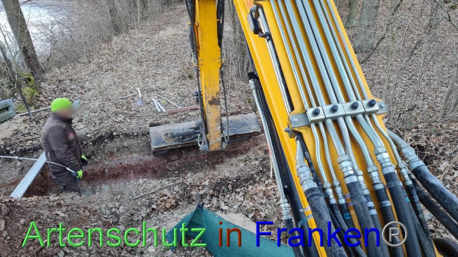© Artenschutz in Franken® Bild zum Eintrag (1065414-160)