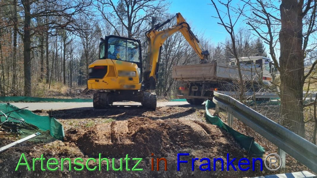 © Artenschutz in Franken® Bild zum Eintrag (1065415-160)