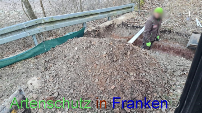 © Artenschutz in Franken® Bild zum Eintrag (1065416-160)
