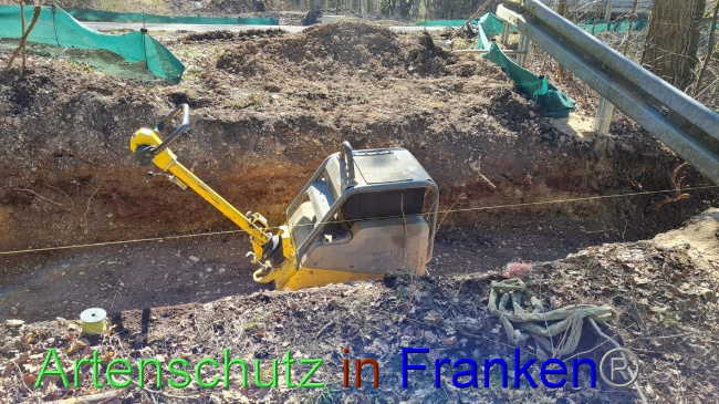 © Artenschutz in Franken® Bild zum Eintrag (1065418-160)