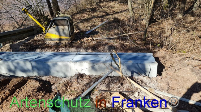 © Artenschutz in Franken® Bild zum Eintrag (1065420-160)