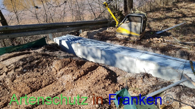 © Artenschutz in Franken® Bild zum Eintrag (1065423-160)