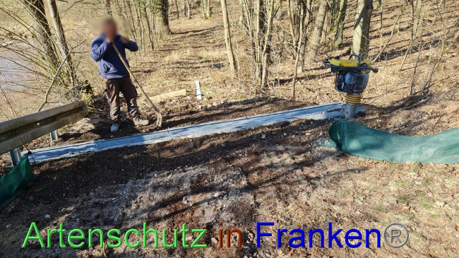 © Artenschutz in Franken® Bild zum Eintrag (1065424-160)