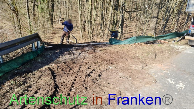© Artenschutz in Franken® Bild zum Eintrag (1065429-160)