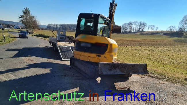© Artenschutz in Franken® Bild zum Eintrag (1065430-160)