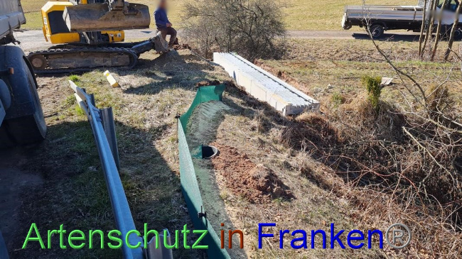 © Artenschutz in Franken® Bild zum Eintrag (1065431-160)