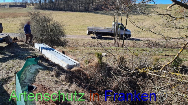 © Artenschutz in Franken® Bild zum Eintrag (1065433-160)
