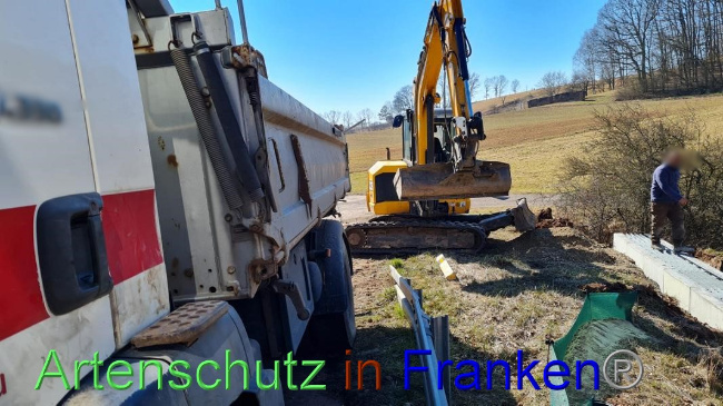 © Artenschutz in Franken® Bild zum Eintrag (1065434-160)